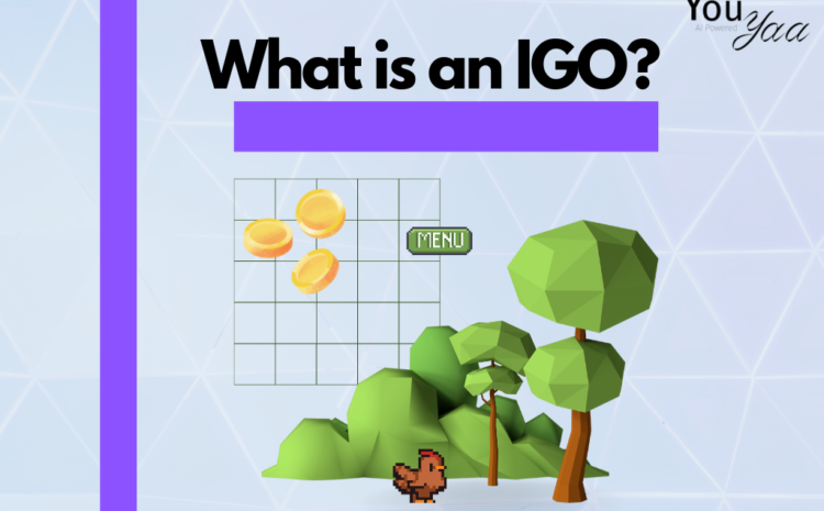 What is an IGO